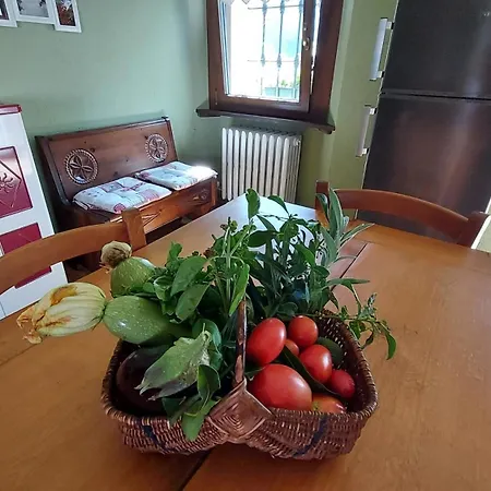 Tranquillo Ed Accogliente Appartement Valpelline